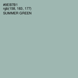 #9EB7B1 - Summer Green Color Image
